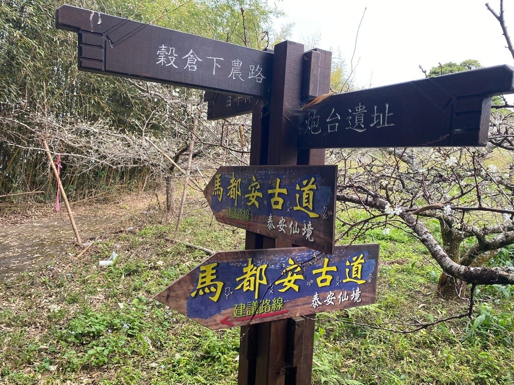 IMG_0080.JPG