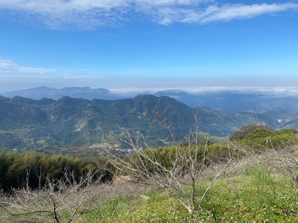IMG_0162.JPG