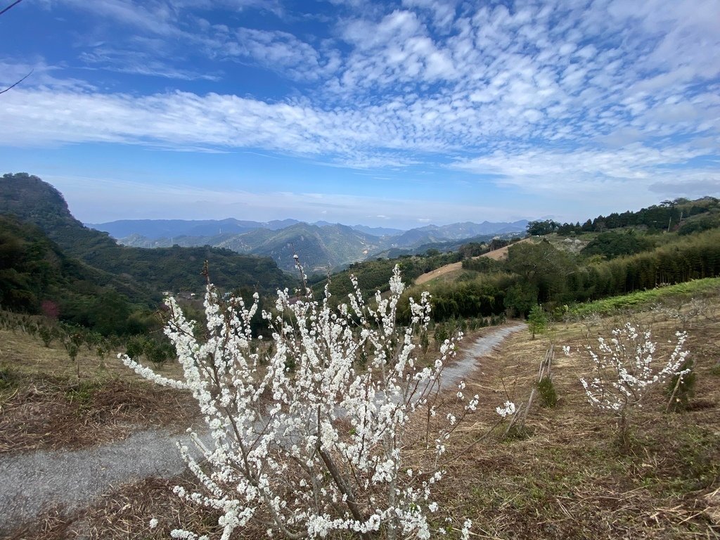 IMG_0211.JPG