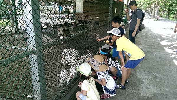 52動物園.jpg