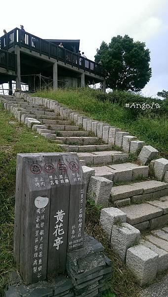黃花亭.jpg