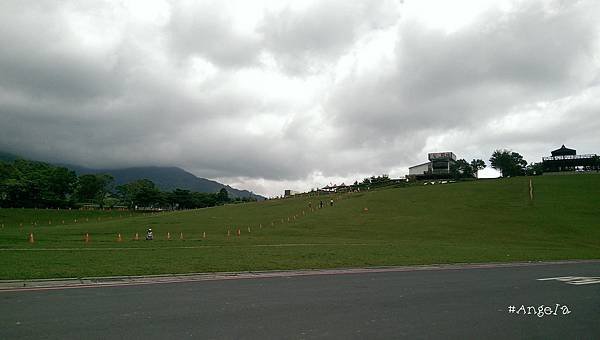 鹿野高台滑草.jpg
