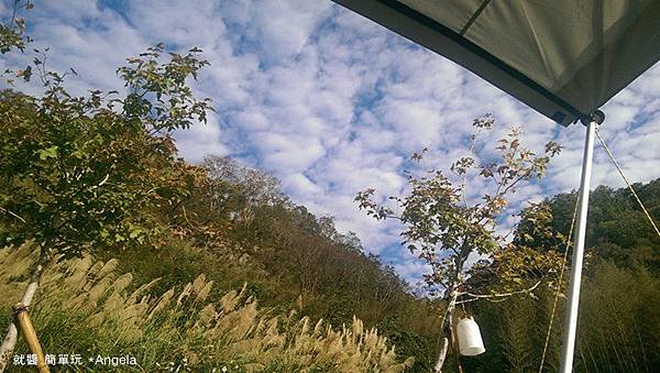 29日美麗的早晨.jpg