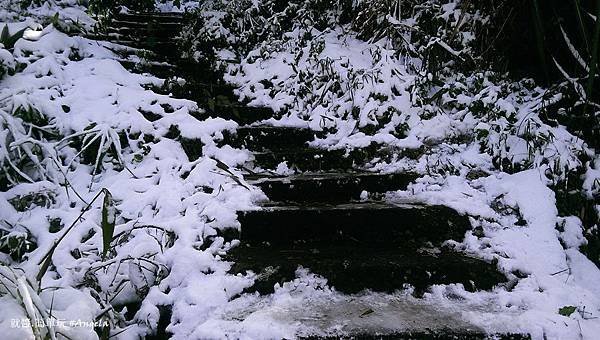 IMAG9725.jpg