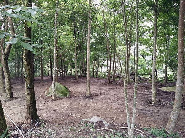 IMG20160814130950.jpg