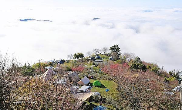 【露營趣】苗栗.司馬限雲端  (2訪) ★咱們賞櫻花看雲海去