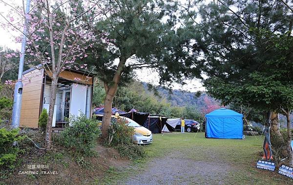 【露營趣】苗栗.司馬限雲端  (2訪) ★咱們賞櫻花看雲海去