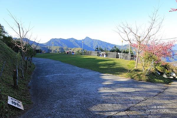 【露營趣】苗栗.司馬限雲端  (2訪) ★咱們賞櫻花看雲海去