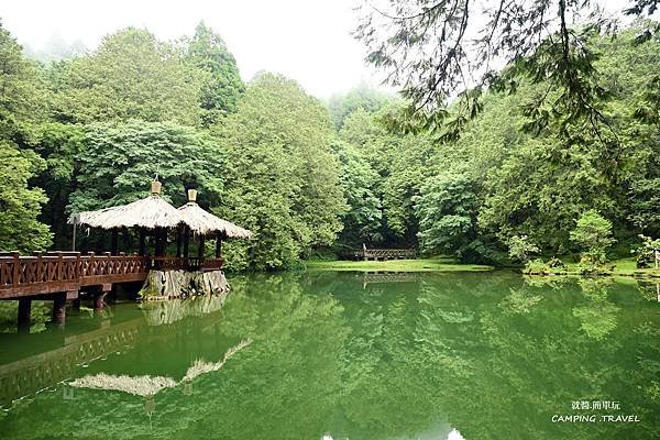 【露營趣】嘉義.福山星月露營區 ★茶園環繞的露營環境、翠綠草