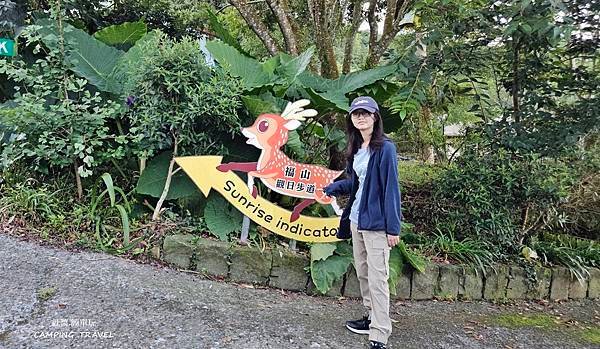 【露營趣】嘉義.福山星月露營區 ★茶園環繞的露營環境、翠綠草