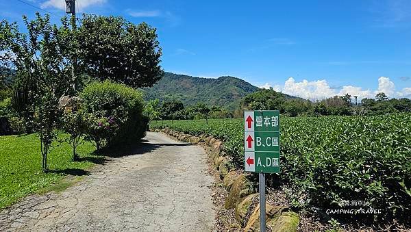 【露營趣】嘉義.福山星月露營區 ★茶園環繞的露營環境、翠綠草