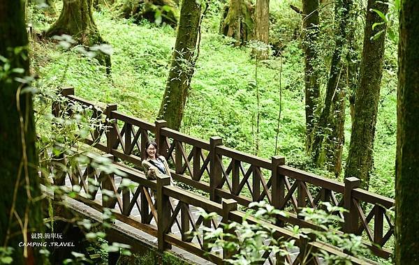 【露營趣】嘉義.福山星月露營區 ★茶園環繞的露營環境、翠綠草