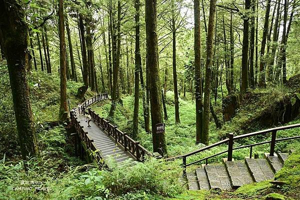 【露營趣】嘉義.福山星月露營區 ★茶園環繞的露營環境、翠綠草