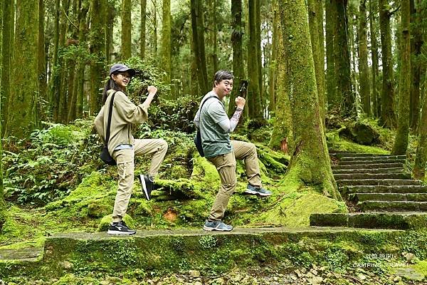 【露營趣】嘉義.福山星月露營區 ★茶園環繞的露營環境、翠綠草