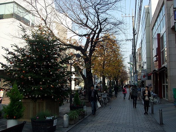 DSCF4577.JPG