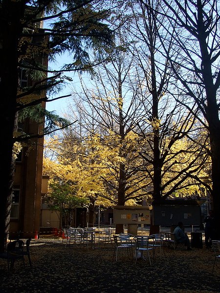 DSCF4409.JPG