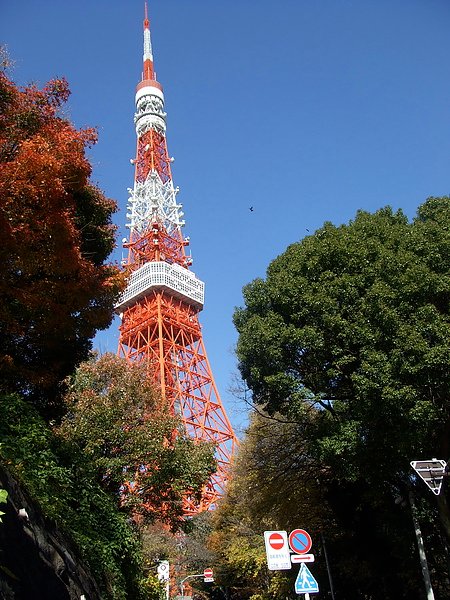 DSCF4413.JPG