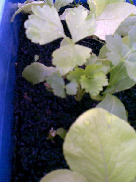 20090704(003).jpg