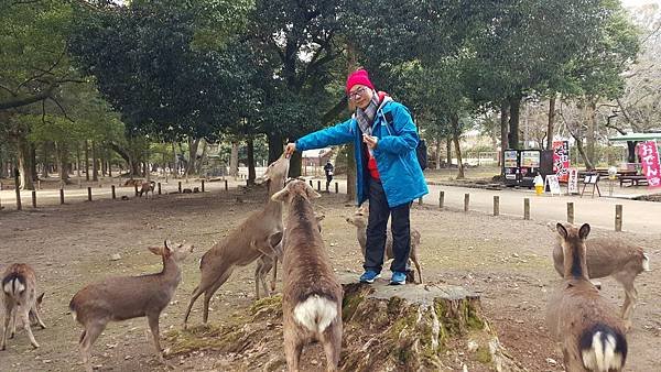 2016.01 京阪神 之旅_170328_0036.jpg