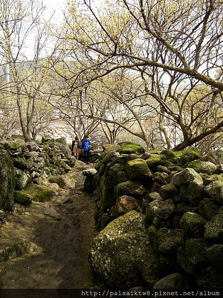 求禮山茱萸村