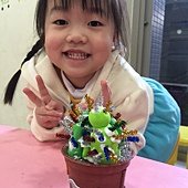 芬蘭B（3-3）仙人掌盆栽