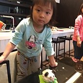 IMG_7454