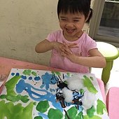 IMG_8234