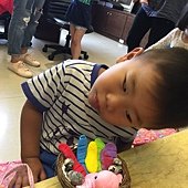 IMG_8293