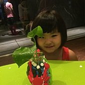 IMG_9348