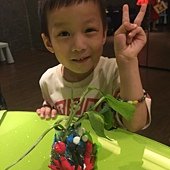 丹麥B(8-5)海洋螃蟹水瓶