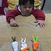 IMG_5355
