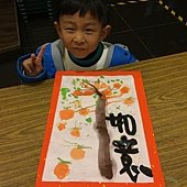 丹麥C(6-7）柿柿如意