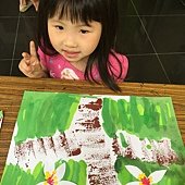丹麥C(7-8)五月雪油桐花