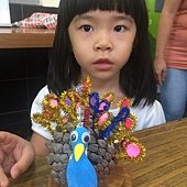 丹麥A(8-6)孔雀開屏