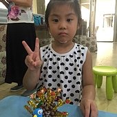 芬蘭C(8-6)孔雀開屏
