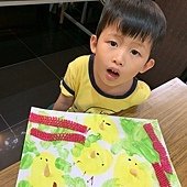 丹麥D（4-2）可愛小雞舍
