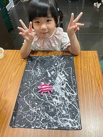 丹麥c2-6蜘蛛吐絲