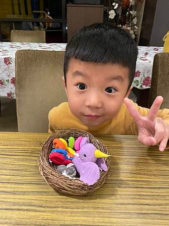 鴻觀2-1可愛小鳥巢