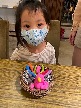 鴻觀2-1可愛小鳥巢