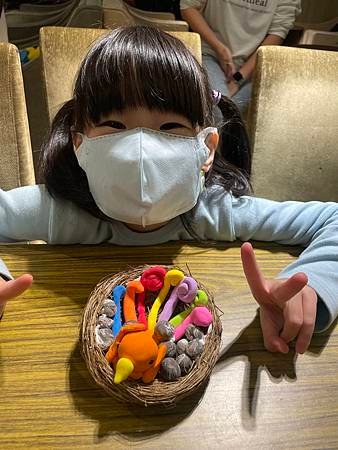 鴻觀2-1可愛小鳥巢