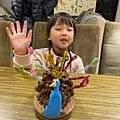 鴻觀2-9孔雀開屏