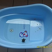浴盆中自在的小綠
