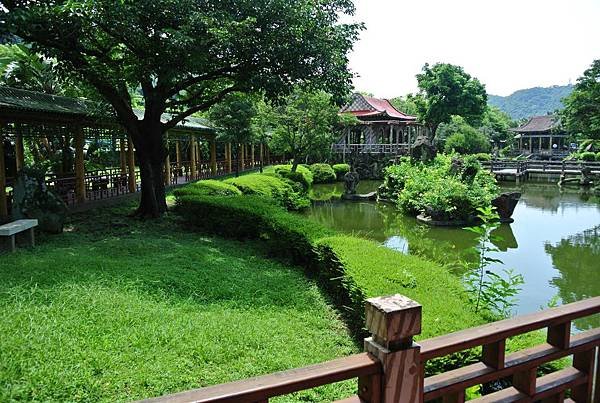 DSC_1177.JPG