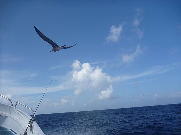 20130824kao7.jpg