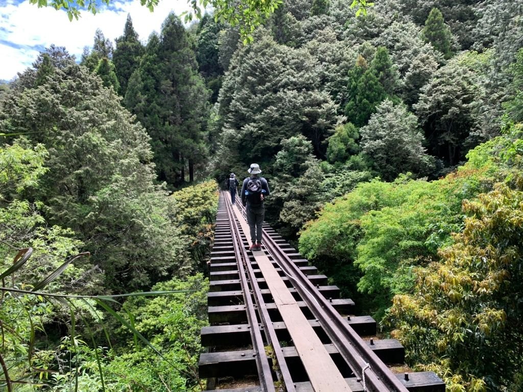 阿里山_200507_0720.jpg