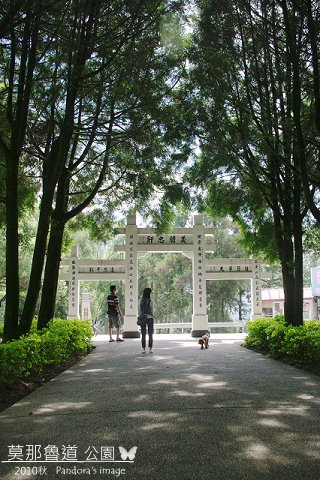 IMGP9330.jpg