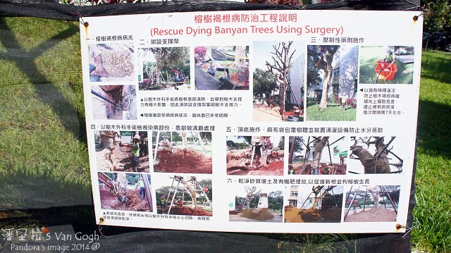 2014深秋，我在中央大學聽松濤