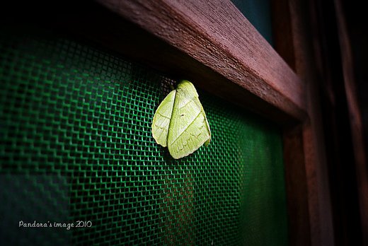 P1070677-p.jpg
