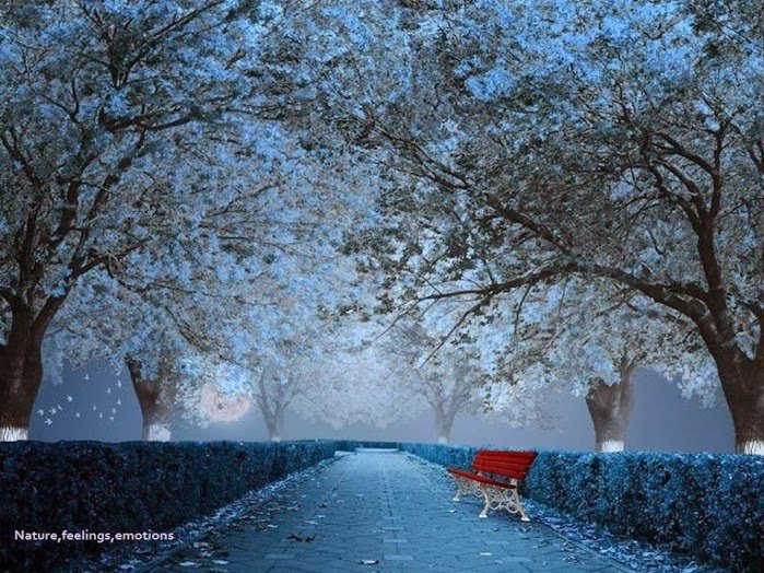 紅色小徑044_20131111_Cicek Aliyeva‎