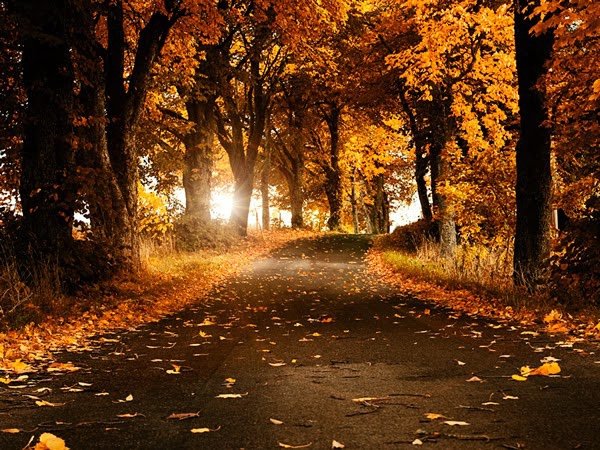 紅色小徑047_20131118_PRAVEEN OBEROI